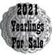 2021 PBRZ Yearlings FOR SALE
