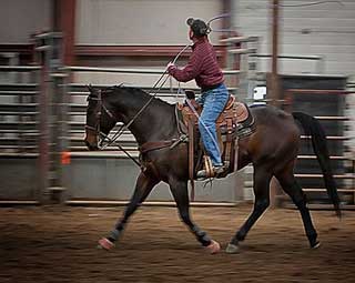 Royal Three Dash (Dr J)