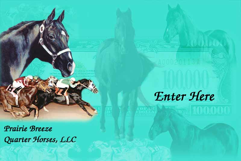 Welcome to Prairie Breeze Quarter Horses, LLC! Click to enter our site