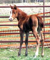 Profits Portia May 3