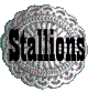 stallions link