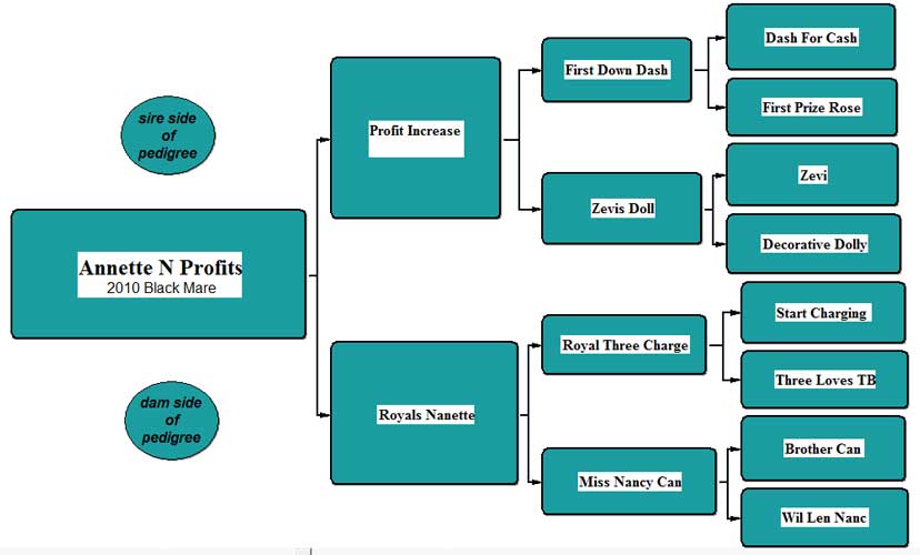 Annette N Profits Pedigree
