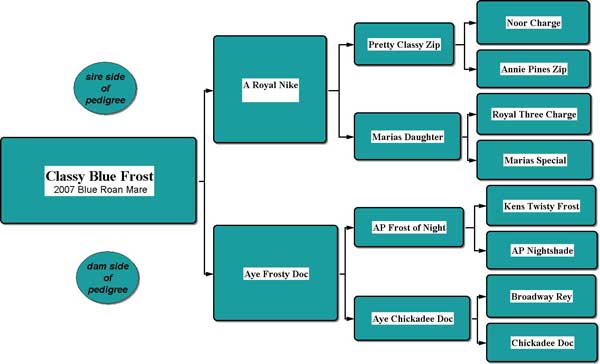 Classy Blue Frost Pedigree