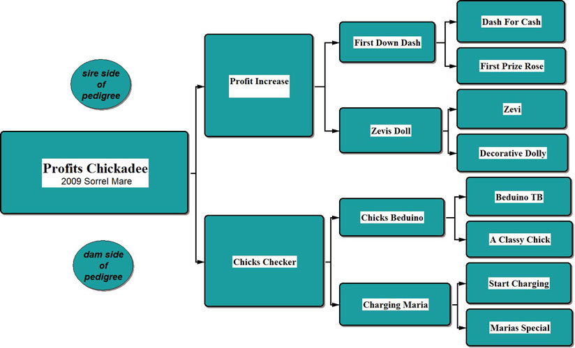 Profits Chickadee Pedigree