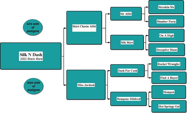 Silk N Dash Pedigree