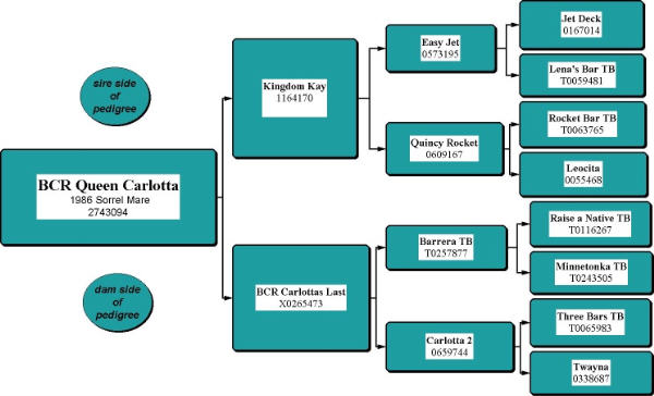 BCR Queen Carlotta Pedigree