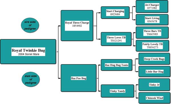 Royal Twinkie Bug Pedigree