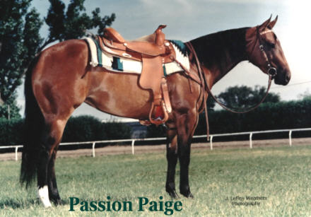 Passion Paige